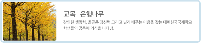 ���� : �ڱͳ���